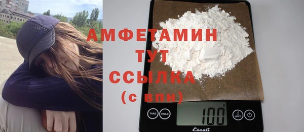 дурь Инсар