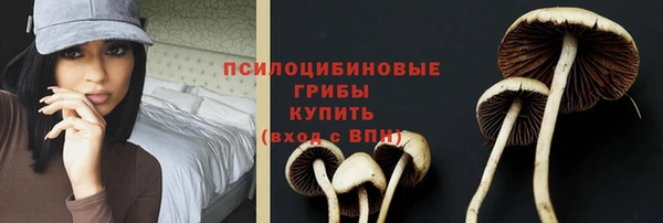 дурь Зерноград