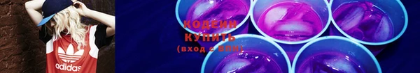 дурь Инсар